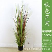 XU0613058